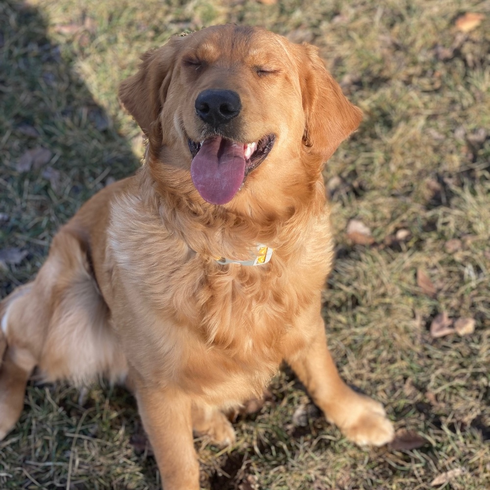 Meet your Posher, Anna